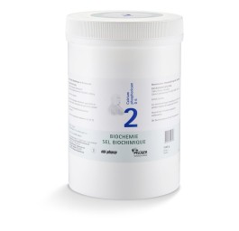 PFLÜGER SCHÜSSLER no2 calc phos pdr 6 D 1 kg