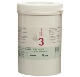 PFLÜGER SCHÜSSLER no3 ferr phos pdr 12 D 1 kg