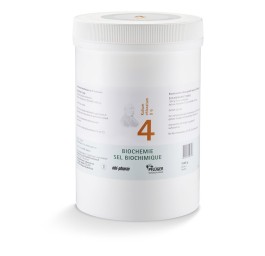 PFLÜGER SCHÜSSLER no4 kal chlor pdr 6 D 1 kg