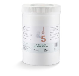 PFLÜGER SCHÜSSLER no5 kal phos pdr 6 D 1 kg