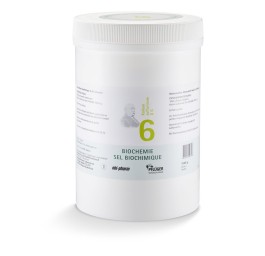PFLÜGER SCHÜSSLER no6 kal sulf pdr 6 D 1 kg
