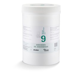 PFLÜGER SCHÜSSLER no9 natr phos pdr 6 D 1 kg