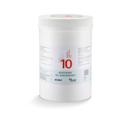 PFLÜGER SCHÜSSLER no10 natr sulf pdr 6 D 1 kg