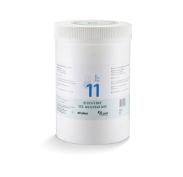 PFLÜGER SCHÜSSLER no11 silicea pdr 12 D 1 kg
